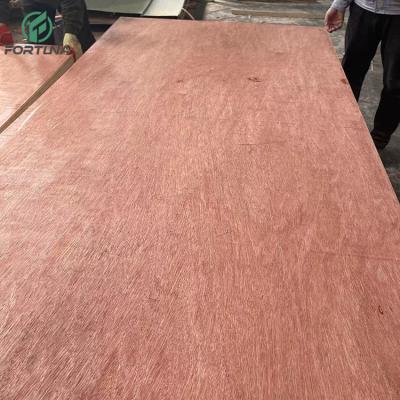 China Raincoat ; Competitive Price Quality Assurance Factory Container Wardrobe Okouma Plywood_board_price 19mm 12mm 2mm for sale