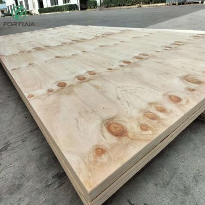 China Raincoat ; Competitive price can be custom sheet 18mm CDX plywood made in China for sale