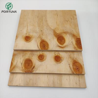 China Raincoat ; Competitive Price Wholesale Commercial Cdx Hardwood Plywood Sheet Bb/cc Pine Plywood for sale