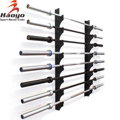 China Modern Gym Equipment Barbell Bar Rack for sale