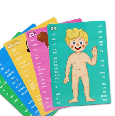 China Educational Toy Children's Human Body Cognitive Jigsaw Puzzle Elementary School Students Magnetic Body Secret For Sale for sale