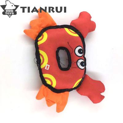 China Viable Pet Accessories Suzhou Tianrui Plush Pet Toy Interactive Dog Toy For Dogs Cats Indoor Play for sale