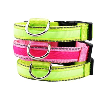 China Golden lights supplier dog collar factory product led chargeable collar with usb for sale