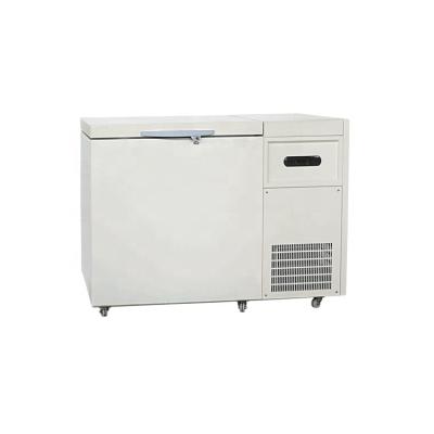 China Hospitals Minus 40C Chest Type Lab Freezer Deep Freezer for sale