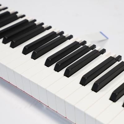 China Eco - Friendly Piano Keyboard Musical Instruments Professional 88 Keys Hammer Action Keyboard for sale