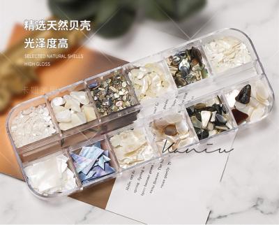 China Japanese Natural Shell Slice JIAXI 12designs/box Shell Slice Irregular Mixed Shell for DIY Nail Art Decoration for sale