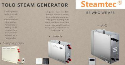 China Stainless Steel Electric Steam Generator 400V 6000w For hyperthermia therapy for sale