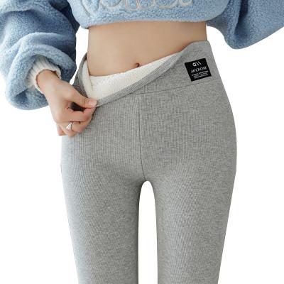 China Autumn And Winter Wear Antibacterial Plush Thickened 2022 Large Women's Gaiters Gray Thread Warm Cotton Pants High Waist Narrow Abdomen for sale