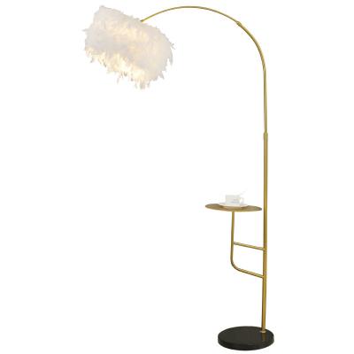 China Decoration Rima Lighting Modern Feather Floor Light Tripod Floor Lamps For Living Room for sale