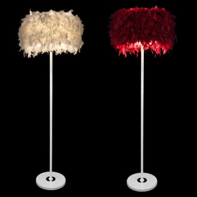 China Decoration Rima Lighting Modern Floor Lamps Holding Feather Light For Living Room for sale