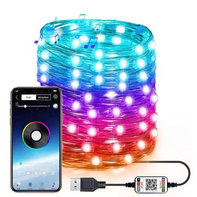 China Dekorative Solarlicht-angetriebene Ketten-Garten-Solarlichter IP65 USB 6lm zu verkaufen