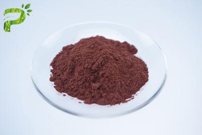 China Tea Premixes Water Soluble Instant Black Tea Extract Powder for sale