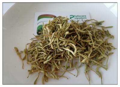 China Extracto de Japonica del Lonicera de la desintoxicación, polvo ácido Chlorogenic de la malla del extracto 80 en venta