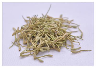 China Polvo amarillo claro del Lonicera de Japonica de la desintoxicación natural del extracto en venta