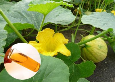 China Protección planchada en frío de la próstata del aceite de la calabaza de la planta de la categoría alimenticia del aceite natural del extracto en venta