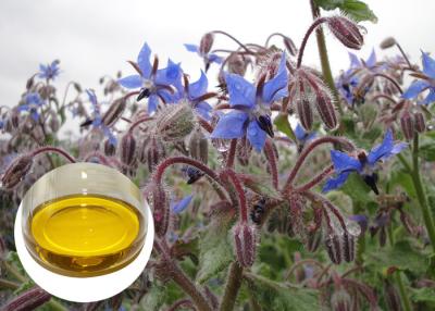 China Borage Seed Organic Plant Oils Omega 6 GLA Anti Oxidation For Eczema for sale