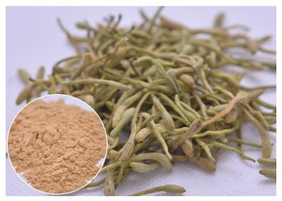 Cina tratti l'acido clorogenico 5%, polvere del freddo, di febbre e di infezione del fiore del caprifoglio dell'estratto di lonicera japonica di 25% in vendita