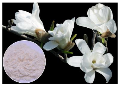 China 50% - 95% Magnolol Magnolien-Barken-Ergänzung, Magnolie Officinalis-Barken-Auszug HPLC Test zu verkaufen