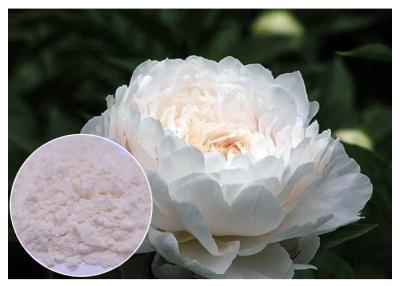 Chine Rénovation des ingrédients cosmétiques naturels de peau outre de la poudre blanche de Lactiflora de Paeonia de couleur à vendre