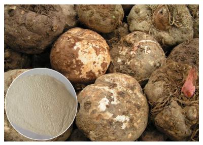 Chine CAS 37220 17 0 poudres konjac de Glucomannan, ingrédient de nourriture konjac pur de poudre d'extrait à vendre