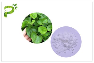 Chine La peau marque la couleur blanche d'ingrédients cosmétiques naturels de la feuille asiatica de Centella à vendre