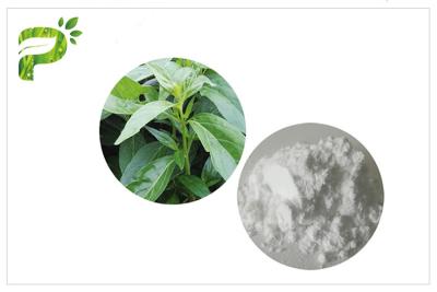 China Cáncer anti CAS de Andrographolide del extracto herbario de la planta de Andrographis Paniculata 5508 58 7 en venta