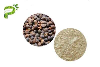 China Saponins Oleifera do chá do extrato da semente de Abel da camélia cosmética natural do ingrediente para o emulsivo à venda