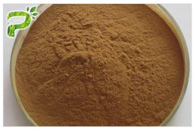 Cina Estratto 20 (R) - Ginsenoside Rh2/rg 3 della radice del ginseng anticancro in vendita