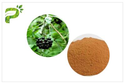 China Extractos herbarios pulverizados ginseng siberiano Acanthopanax Senticosus Eleutheroside B/E en venta