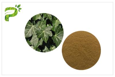 China La hélice de Hedera herbaria del extracto de la planta de la hoja de la hiedra Hederacoside promueve la circulación de sangre para el suplemento dietético en venta