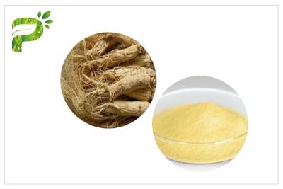 Cina Estratti naturali puri della pianta di panax ginseng organico per le malattie cardiovascolari in vendita