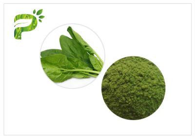 Chine 8,0% l'extrait de feuille d'Ash Green Health Powder Spinach saupoudrent la boîte 20kg/ à vendre