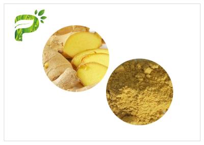 China 1.0ppm cádmio Herb Root Powder natural 100 Mesh Ginger Powder Tea à venda