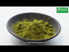 Matcha Green Tea Powder For Cake / Drinks China Tea