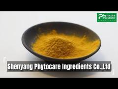 Shenyang Phytocare Ingredients Co., Ltd. - Plant Extract Powder Manufacturer