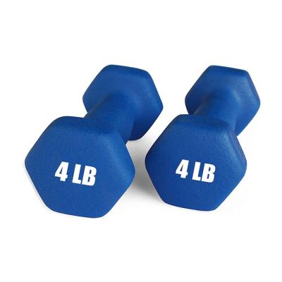 China small and beautiful fitness dumbbells set dumbbell cast dumbbell rubber covered dumbbells for sale