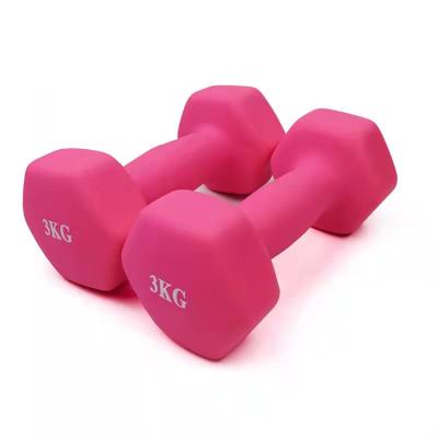 China Hot Sale Rubber Covered Dumbbell Weight Neoprene Gym Free Dumbbells for sale