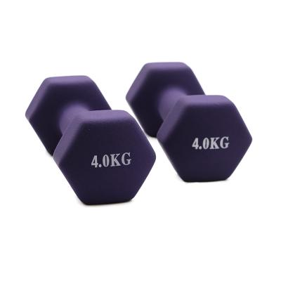 China Hot Sale Rubber Covered Dumbbell Cast Iron Dumbbell Weight Neoprene Hex Free Dumbbells for sale