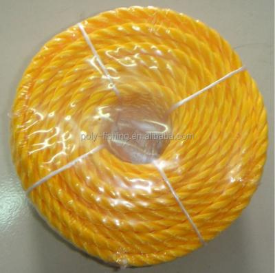 China Widely used in building pp danline/monofilament rope, floats reling for sale