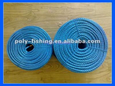 China Navy Blue Nylon Rope 3mm for sale