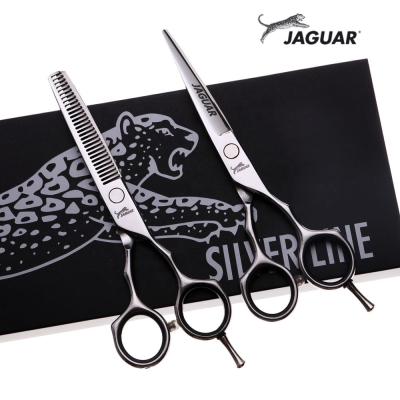 China Cutting Scissors 5.5 Inch New Fashion Design Beauty Silver Barber Scissors Flat Scissors Teeth Scissors for sale