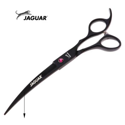 China Stocked Pet Scissors 7