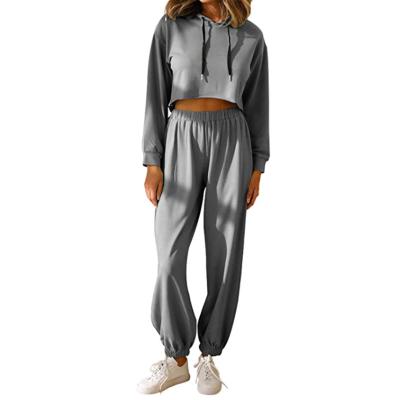 China QUICK DRY Women's Crop Sweatshirt Hooded Women's Two-Piece Pants Jogging Suit for sale