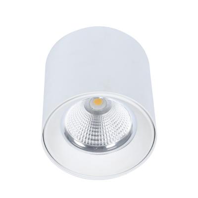 China Modern Customizable Designed COB Surface Mounted Aluminum Adjustable Light Led Downlight for sale