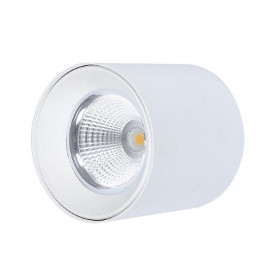 China Modern Professional Production Led Outdoor Mounted Downlight Housing COB Light for sale