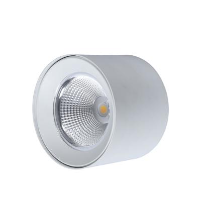 China Factory Supply Modern Direct Dimmable Downlight Housing COB Outdoor Mounted Light for sale