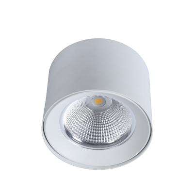 China Custom Wholesale Modern COB Manufacturer Outdoor Mounted Light For Sale for sale