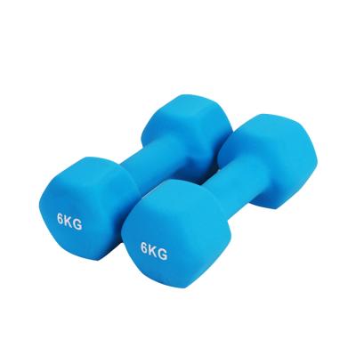 China Fitness Dumbbell Cast Iron Dumbbell Hexagonal Women's Fitness Neoprene Dumbbell Eco-Friendly for sale