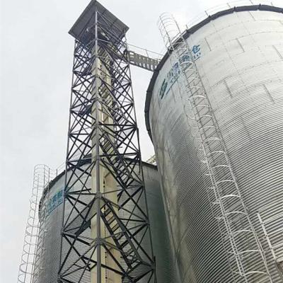 China Heat Resistant Art Grain Double Vertical Bucket Elevator Conveyor for sale