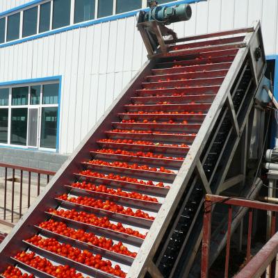 China High Quality Process Beverage Tomato Processing Whole Production Line For Tomato Pulp Tomato Sauce for sale